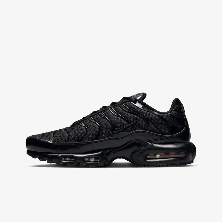 Air Max Plus TN Siyah
