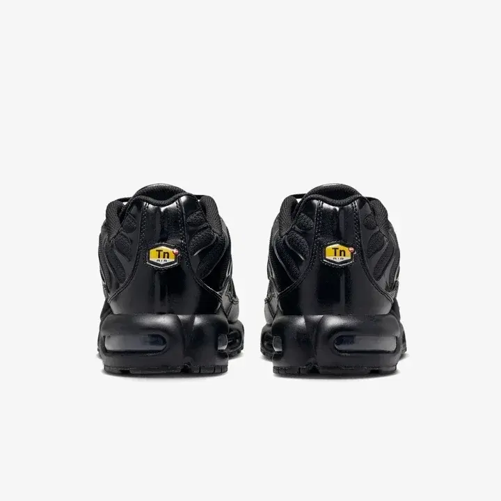 Air Max Plus TN Siyah