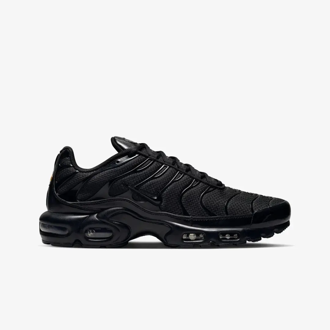 Air Max Plus TN Siyah