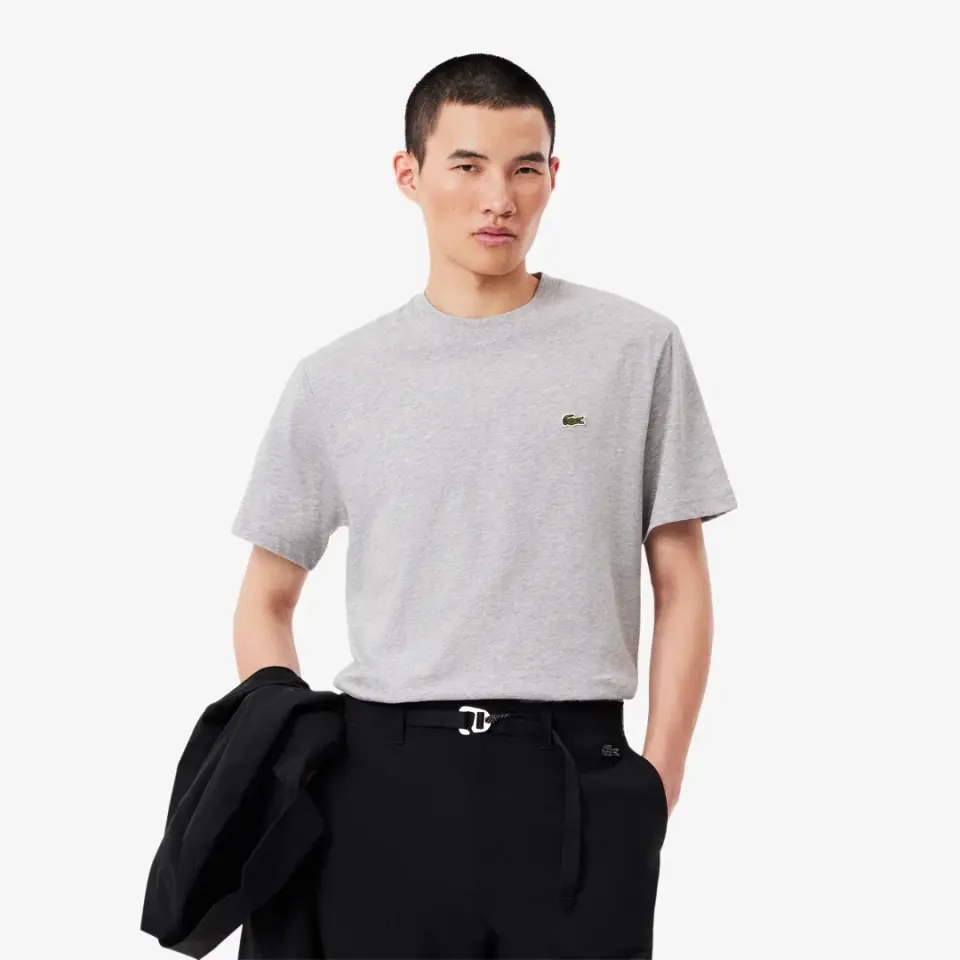 Classic Fit Bisiklet Yaka T-Shirt Gri