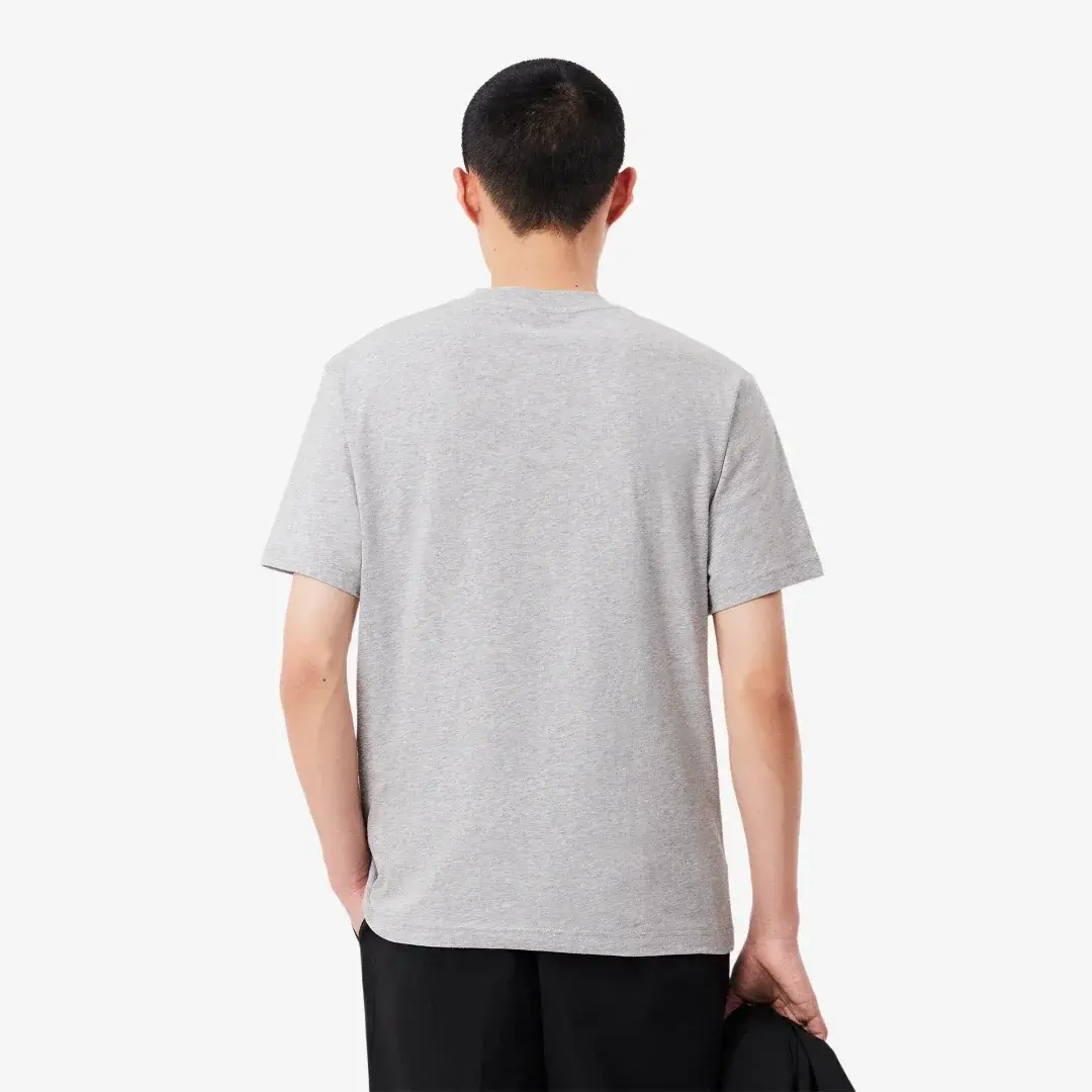 Classic Fit Bisiklet Yaka T-Shirt Gri