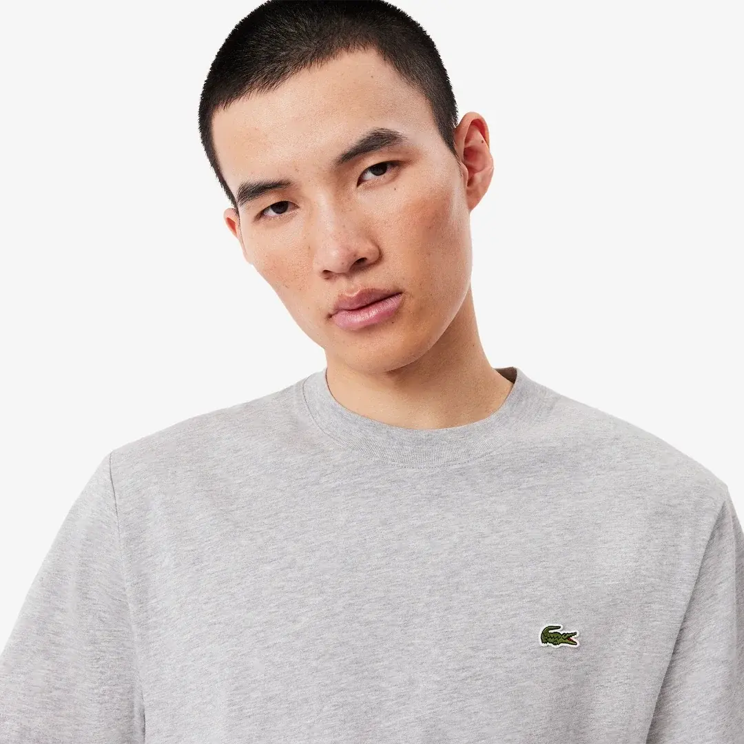 Classic Fit Bisiklet Yaka T-Shirt Gri