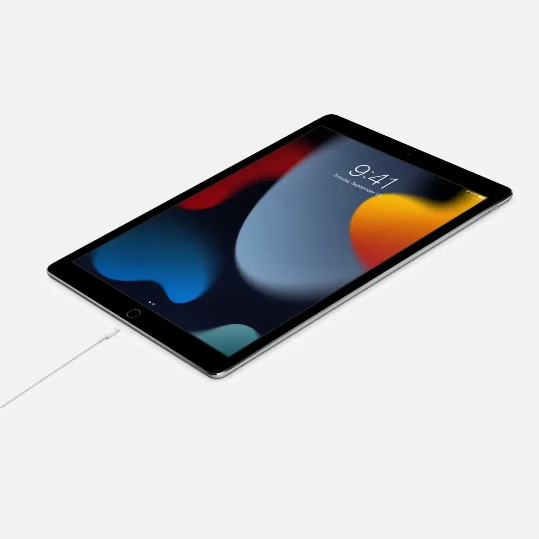 USB-C - Lightning Kablosu (1 m)